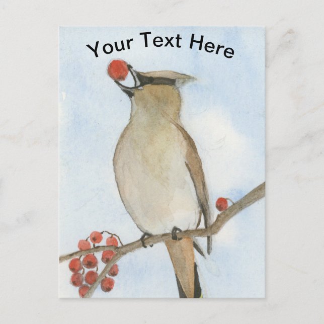 Cedar Waxwing Postcard (Front)