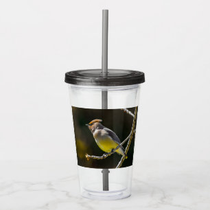 Cedar Waxwing Songbird Original Wild Bird Photo Acrylic Tumbler
