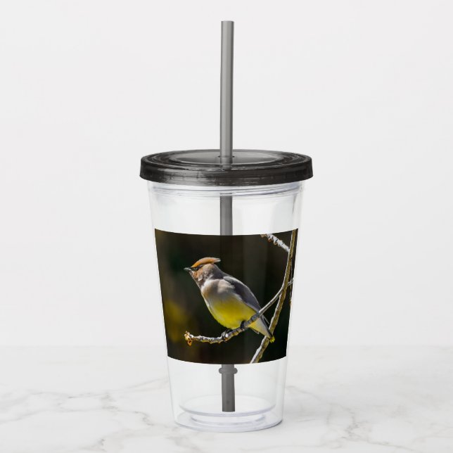 Cedar Waxwing Songbird Original Wild Bird Photo Acrylic Tumbler (Front)
