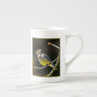 Cedar Waxwing Songbird Original Wild Bird Photo