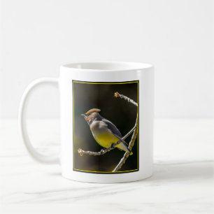 Cedar Waxwing Songbird Original Wild Bird Photo Coffee Mug