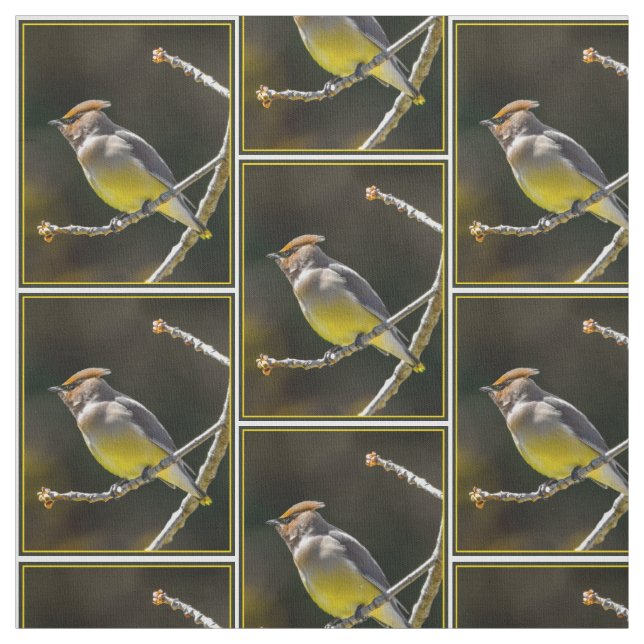 Cedar Waxwing Songbird Original Wild Bird Photo Fabric (Swatch)