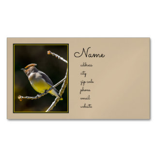 Cedar Waxwing Songbird Original Wild Bird Photo Magnetic Business Card