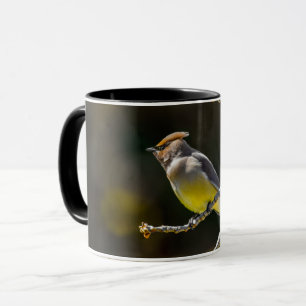 Cedar Waxwing Songbird Original Wild Bird Photo Mug