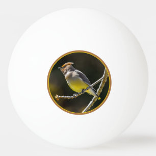 Cedar Waxwing Songbird Original Wild Bird Photo Ping Pong Ball