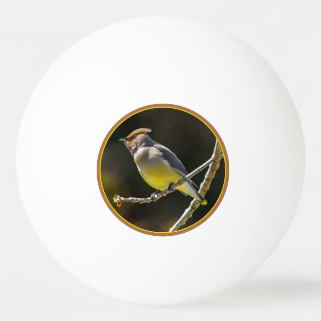 Cedar Waxwing Songbird Original Wild Bird Photo Ping Pong Ball (Front)