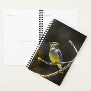 Cedar Waxwing Songbird Original Wild Bird Photo Planner