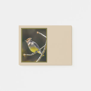 Cedar Waxwing Songbird Original Wild Bird Photo Post-it Notes