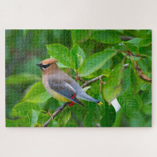 Cedar Waxwing Super Challenging Bird Lover Jigsaw Puzzle