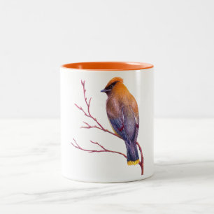 Cedar Waxwing Two-Tone Coffee Mug