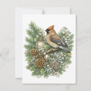 Cedar Waxwing Winter Songbirds Collection Card
