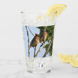 Cedar Waxwings - Backyard Bird Series - Glass