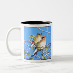Cedar Waxwings Two-Tone Coffee Mug