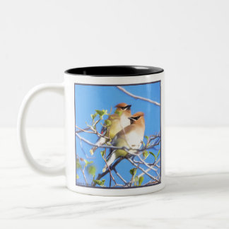 Cedar Waxwings Two-Tone Coffee Mug