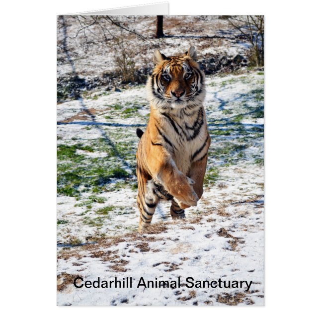 Cedarhill Animal Sanctuary Card (Front)