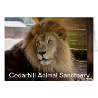 Cedarhill Animal Sanctuary Card