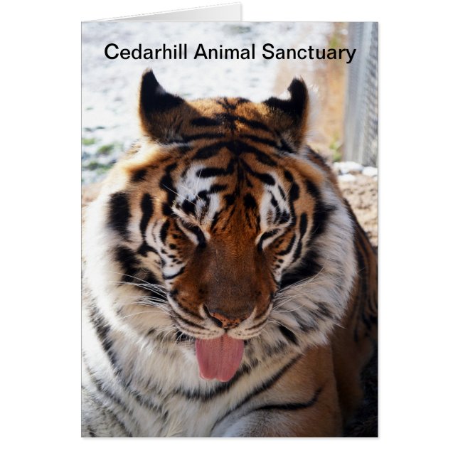 Cedarhill Animal Sanctuary Card (Front)
