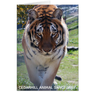 Cedarhill Animal Sanctuary Card