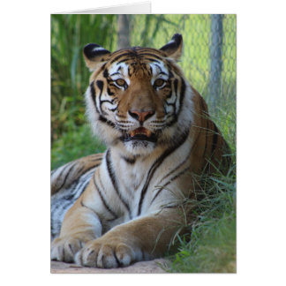 Cedarhill Animal Sanctuary Card