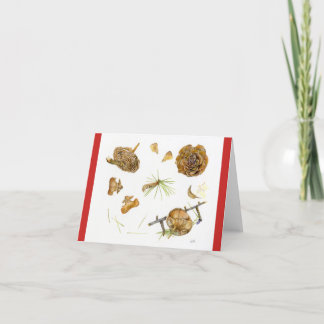 Cedrus Deodara Holiday Card with envelope 4" x 5"