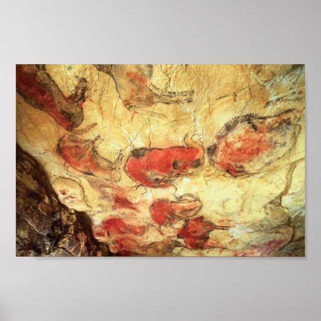 Ceiling at Altamira Poster (Front)