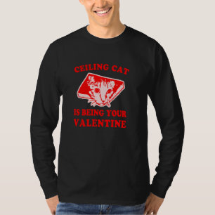 Ceiling Cat Is Being Your Valentine Funny T-Shirt