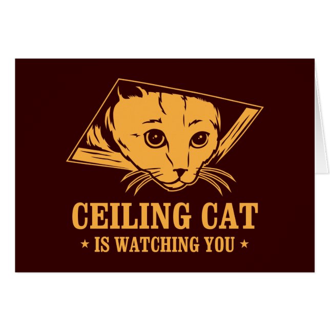 Ceiling Cat is Watching You (Front Horizontal)