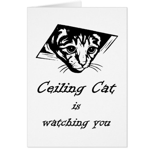 Ceiling Cat is Watching You Card