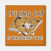 Ceiling Cat is watching you!