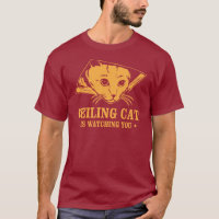 Ceiling Cat is Watching You