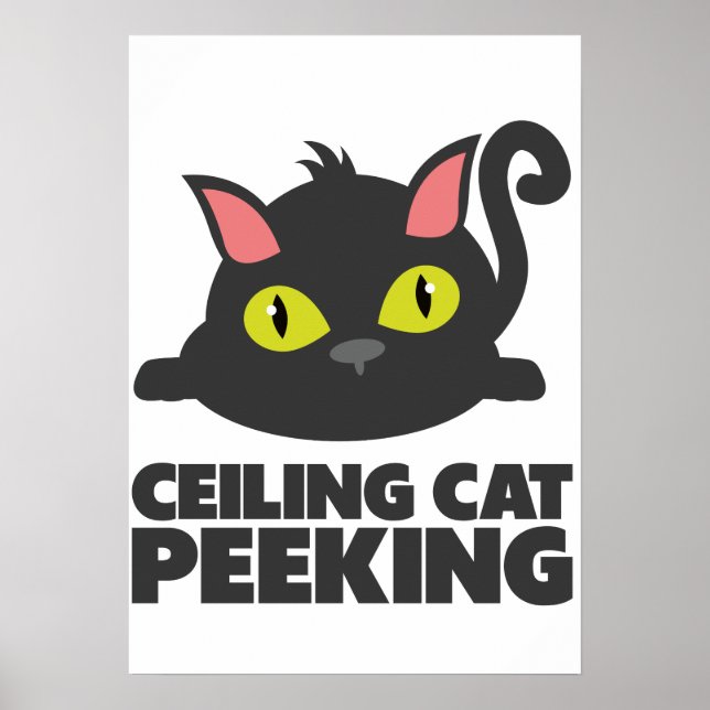 Ceiling Cat Peeking Funny Internet Meme Art Poster (Front)