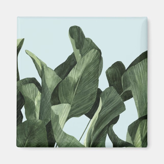 Celadon Palms Magnet (Front)