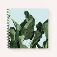 Celadon Palms