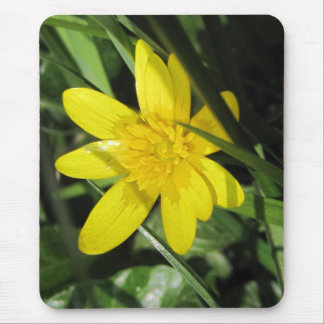 celandine mouse mat