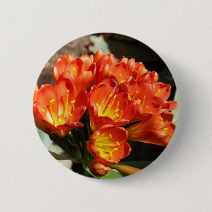 Celebrate 6 Cm Round Badge