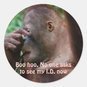 Celebrate Aging Classic Round Sticker