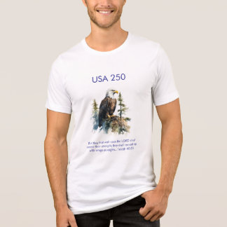 Celebrate America 250 #74 Tri-Blend Shirt