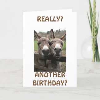 CELEBRATE BIRTHDAY TO GET ATTENTION ASKS MULES? CARD