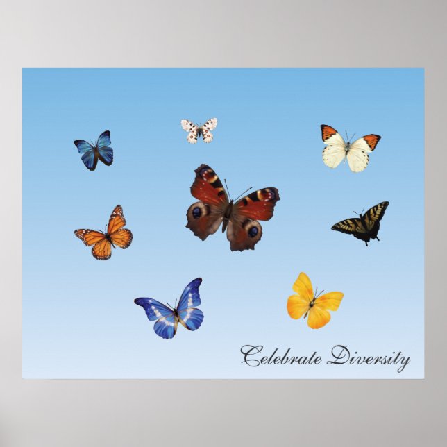 Celebrate Diversity Poster (Front)