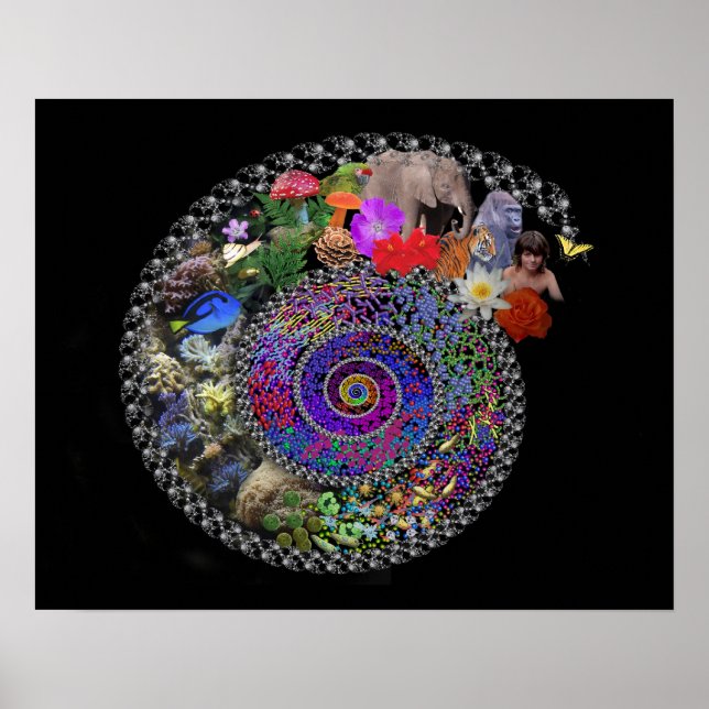 Celebrate Evolution Poster (Front)