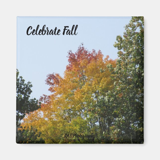 Celebrate Fall Rainbow Tree Magnet (Front)