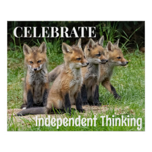 Celebrate Independant Thinking Foxes Poster