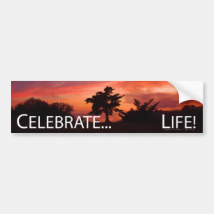 Celebrate... Life Bumper Sticker