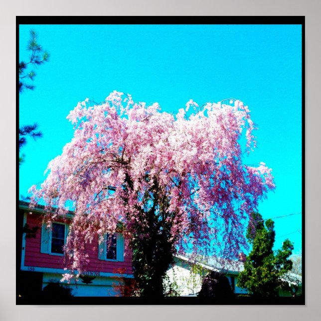 CELEBRATE LIFE poster (Front)