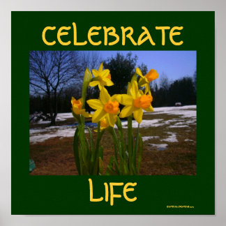 celebrate life/spring poster