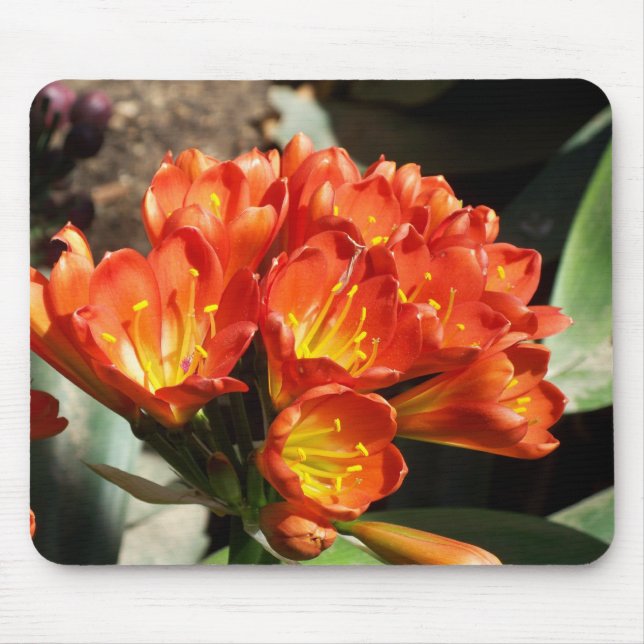 Celebrate Mouse Mat (Front)