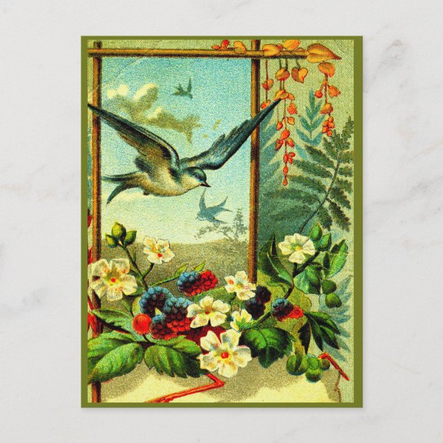 "Celebrate Nature" in style! Postcard (Front)