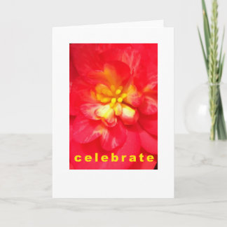 Celebrate Occasion Card