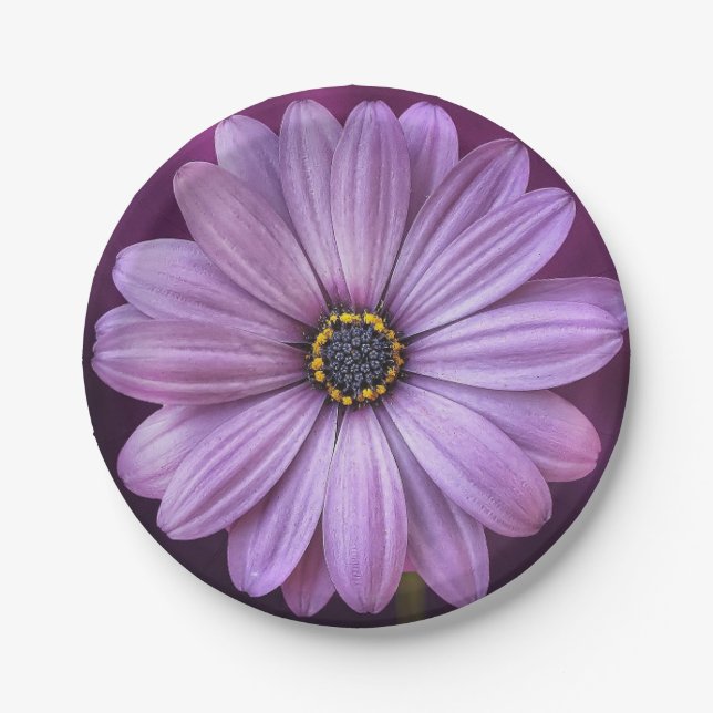Celebrate Spring with a Huge Purple Daisy Paper Plate (Front)