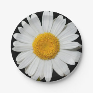 Celebrate Spring with a Huge White Daisy Paper Plate